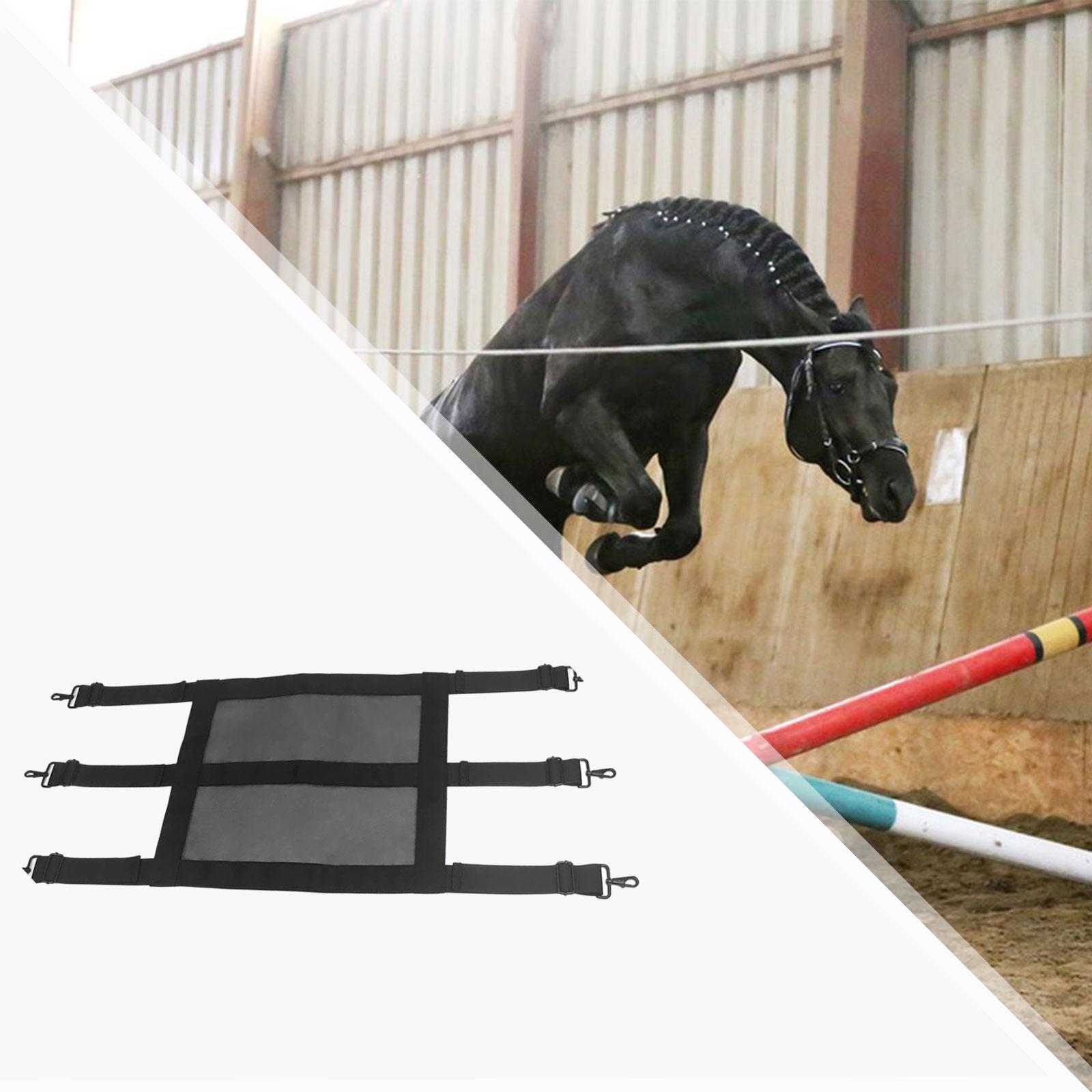 Door Chain Guard - Extra Wide Mesh Horse Stall Guard