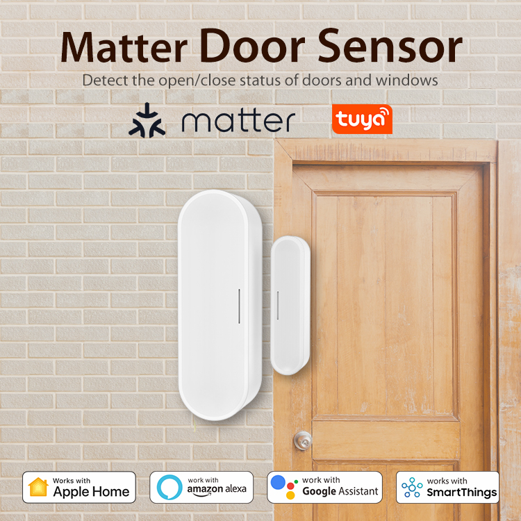 Tuya Smart Door Window Sensor  - Home Security Battery review and price