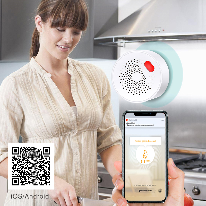 Tuya Smart Home Wifi Natural G - Home Security Tools review and price